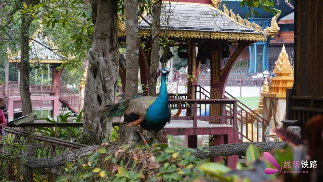 昆明铁路