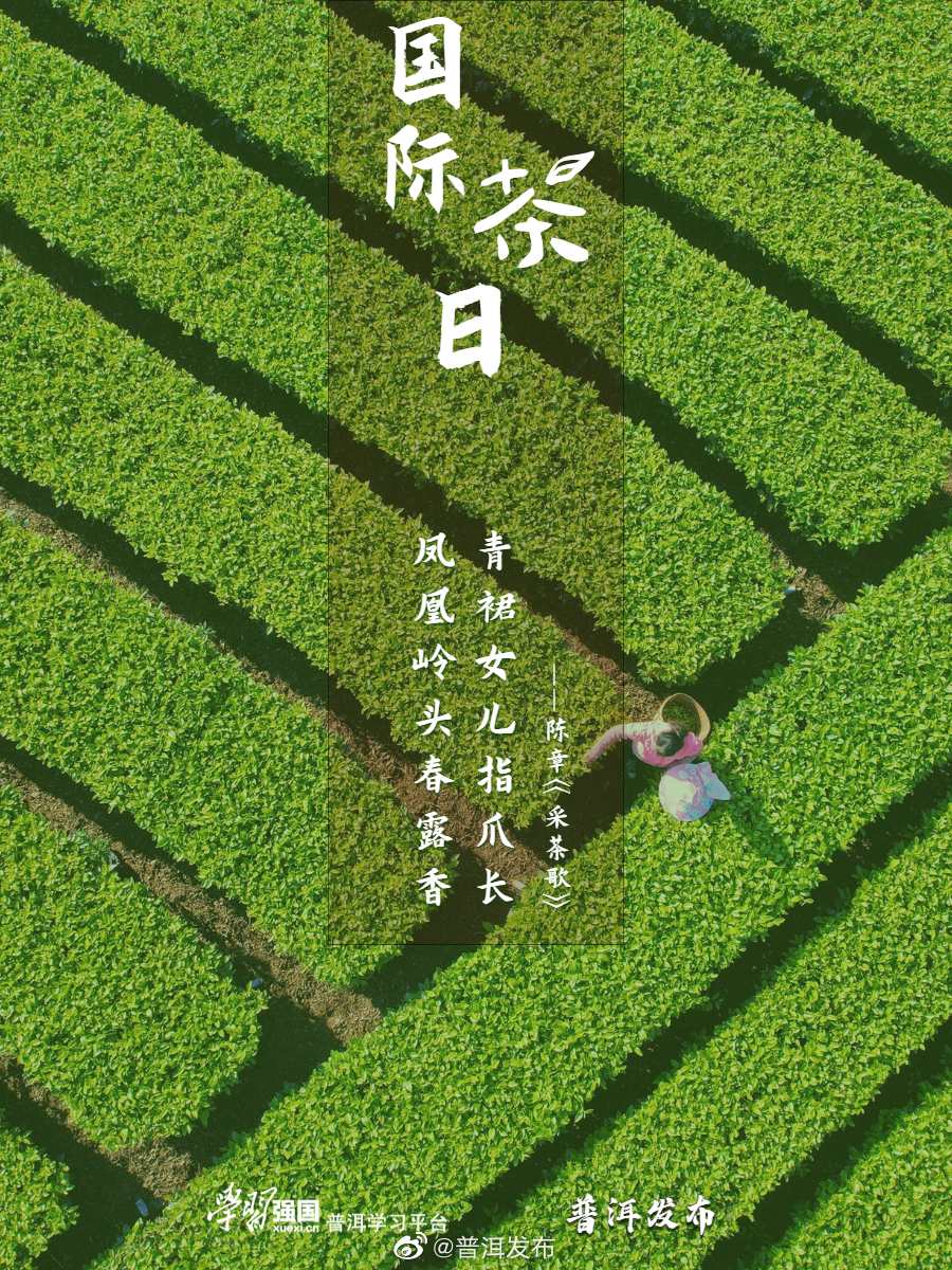 普洱发布