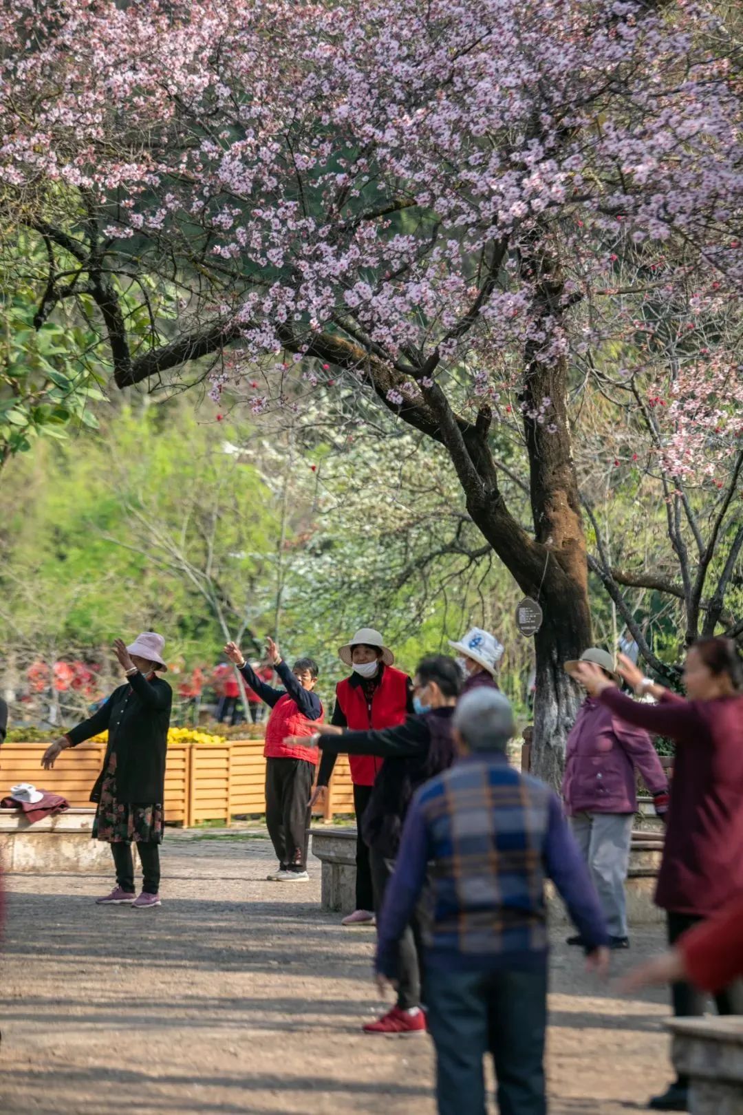 微丽江
