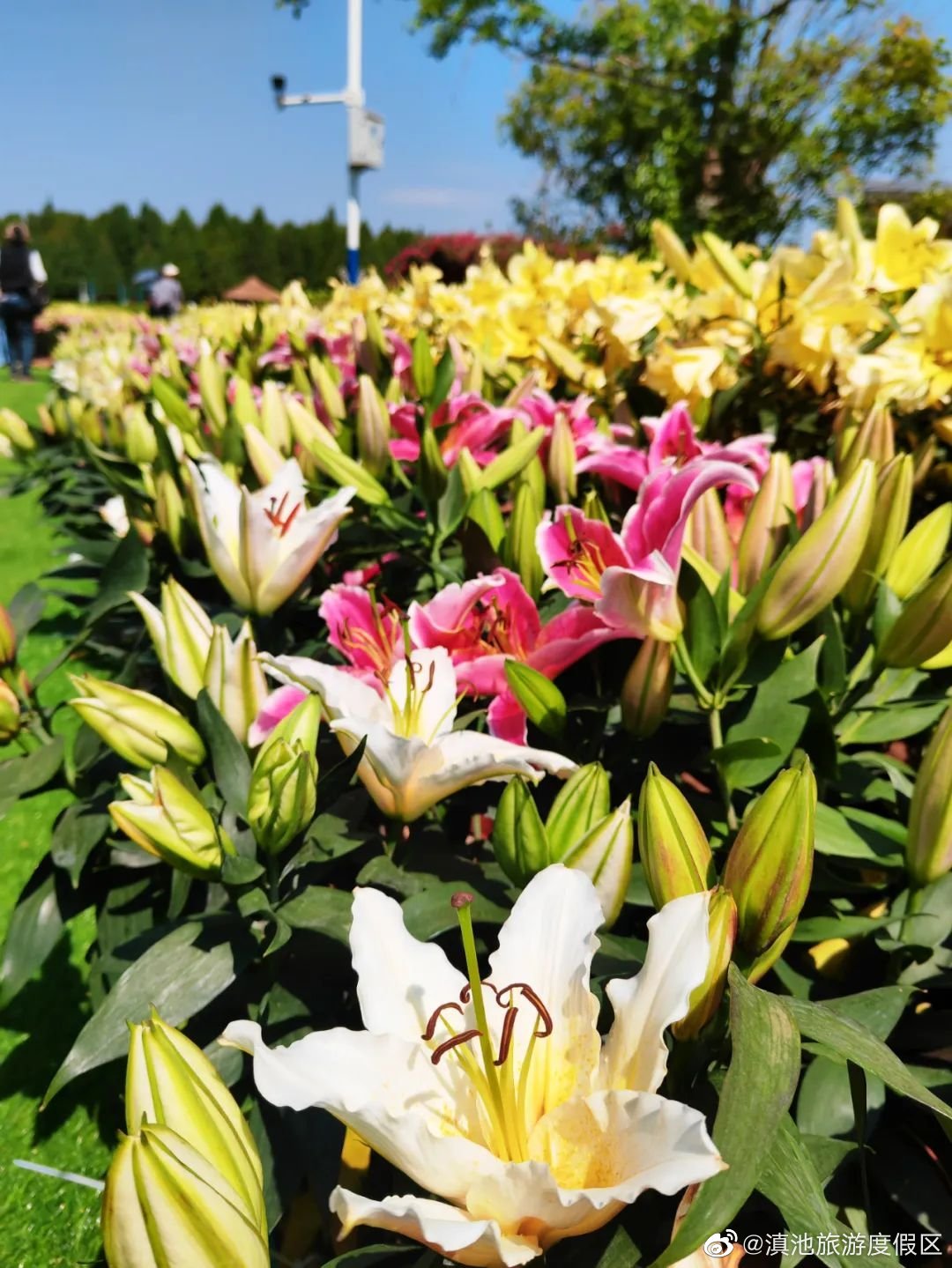 滇池旅游度假区