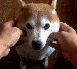 吃饭总咬腮帮子可能是咬合问题