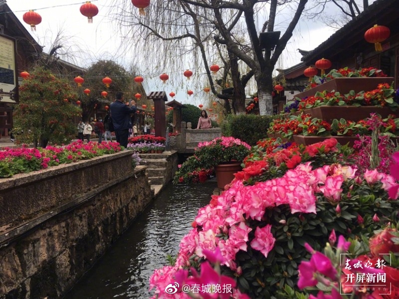 春城晚报