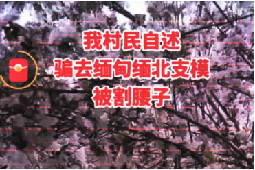 掌上春城
