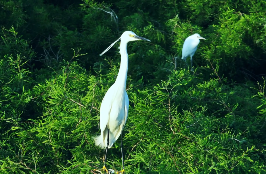 晋宁诗意的栖居地