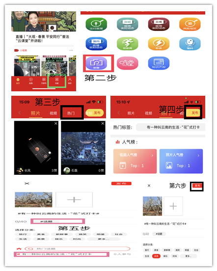 春城晚报