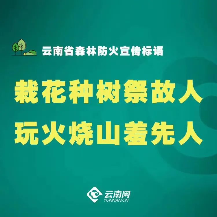 大理日报