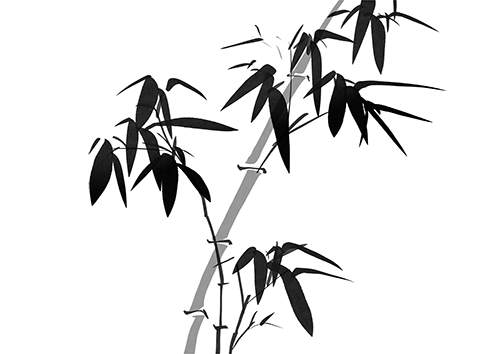 云南省图书馆