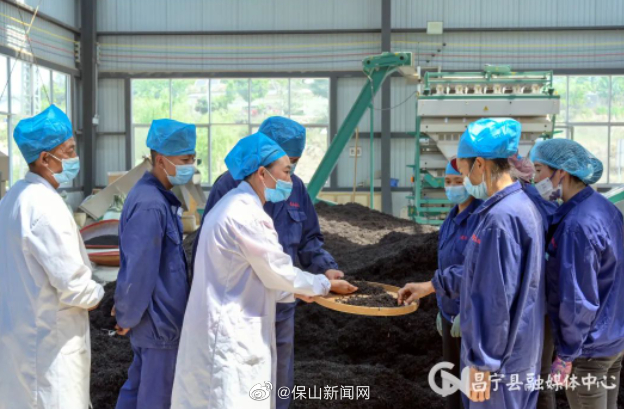 保山新闻网