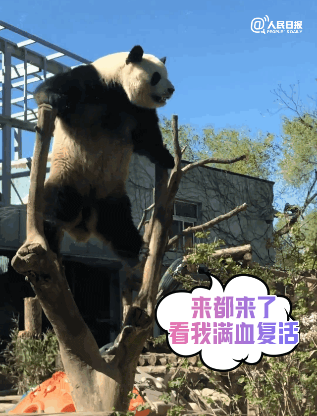 昆明市西山区发布