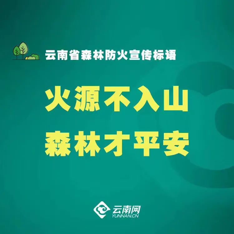 大理日报
