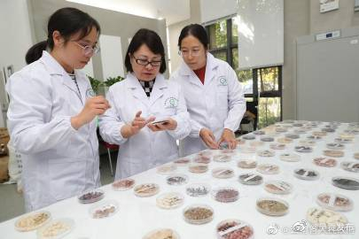 呈贡发布