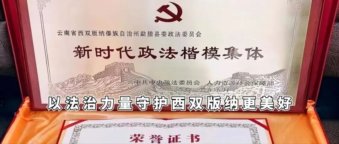 云南政法