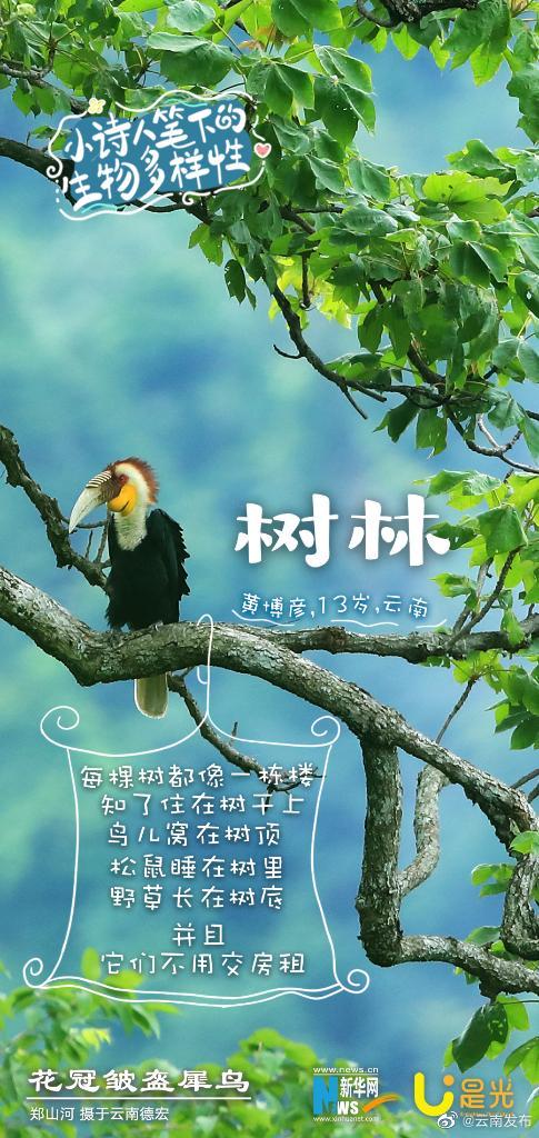 云南发布