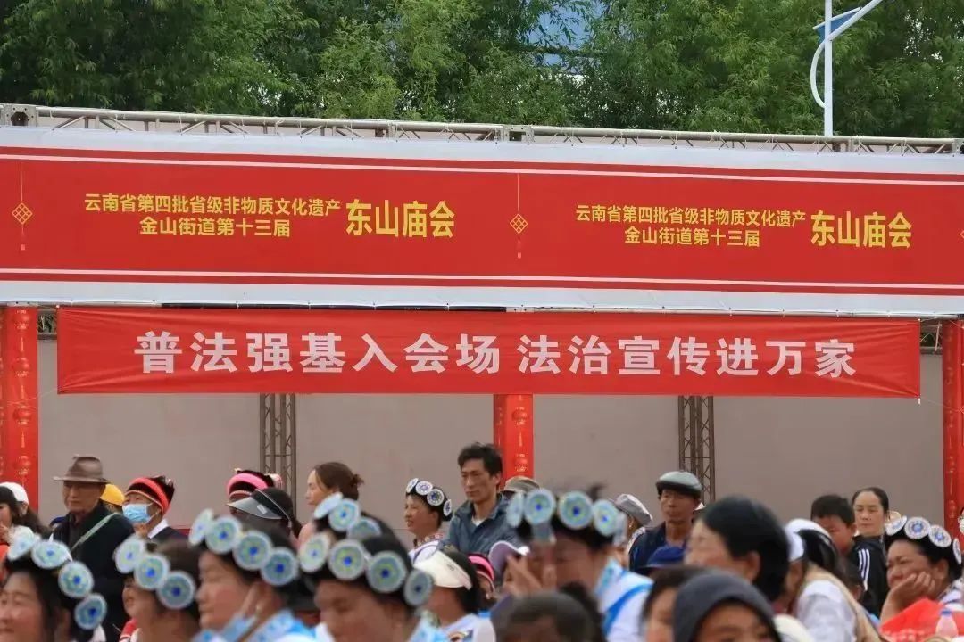 云南政法