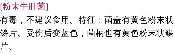 宜良之窗