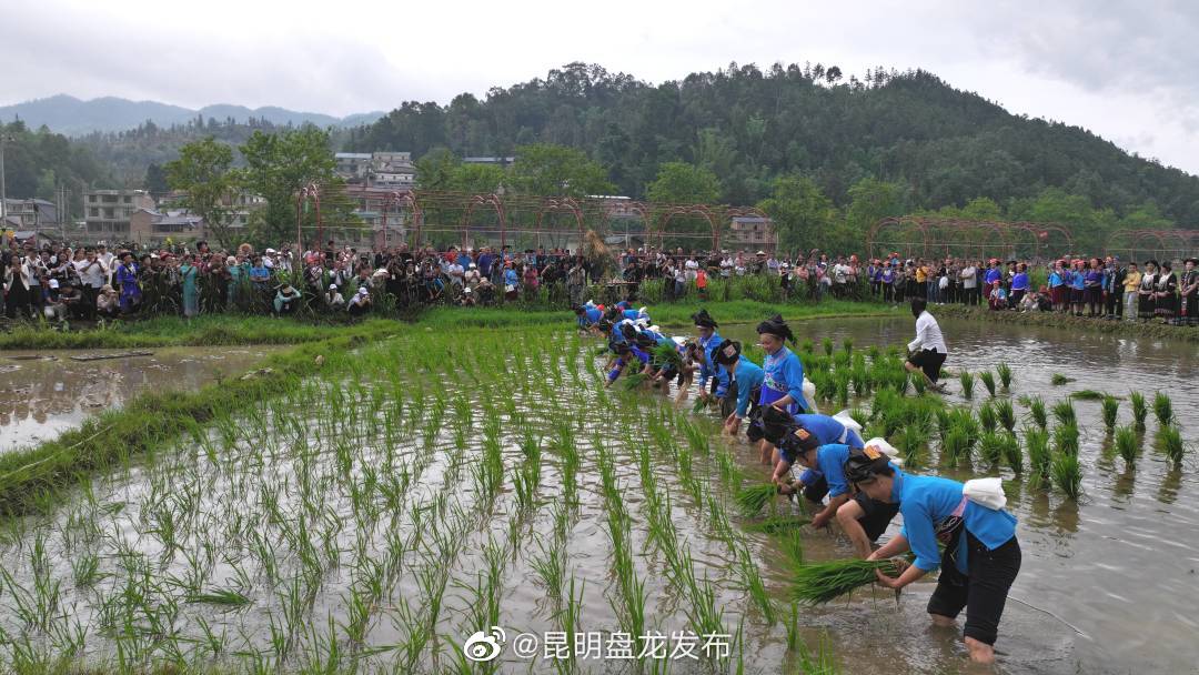 昆明盘龙发布