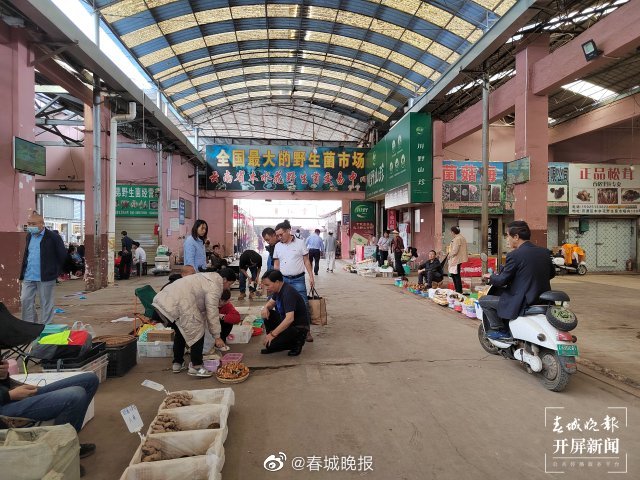 春城晚报