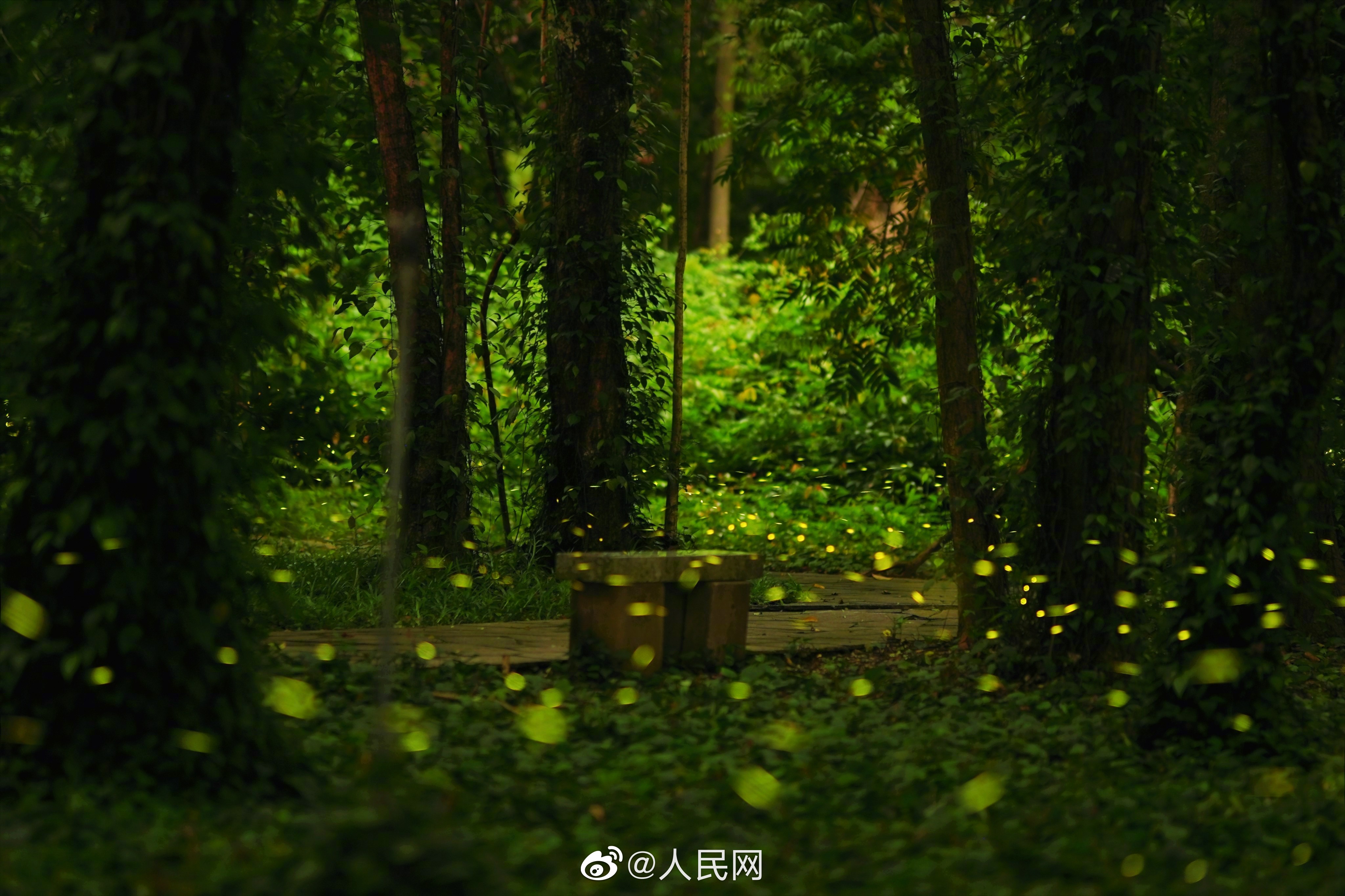 人民网