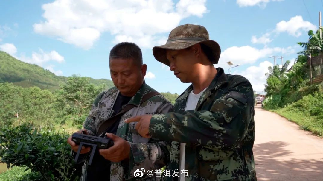 普洱发布
