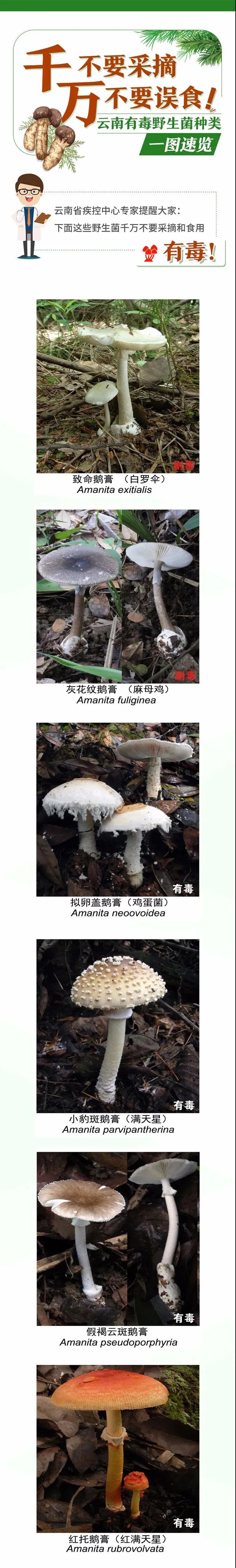 悦读嵩明