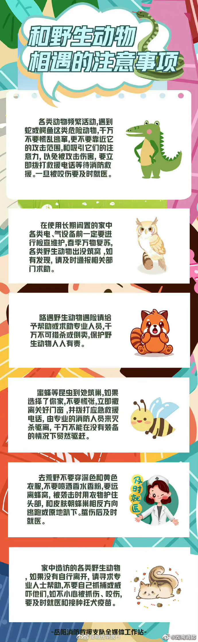 与野生动物相遇的那些事