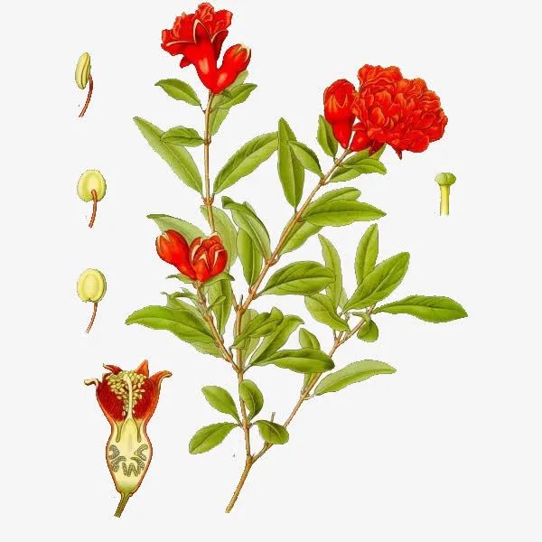 昆明市金殿名胜区