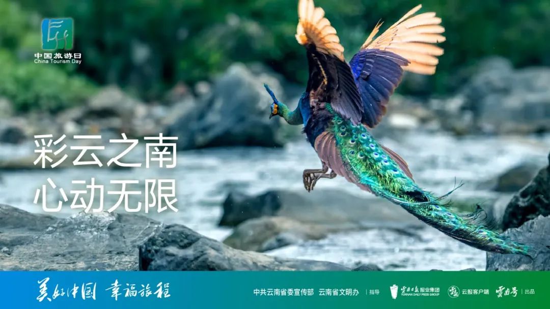 德宏团结报