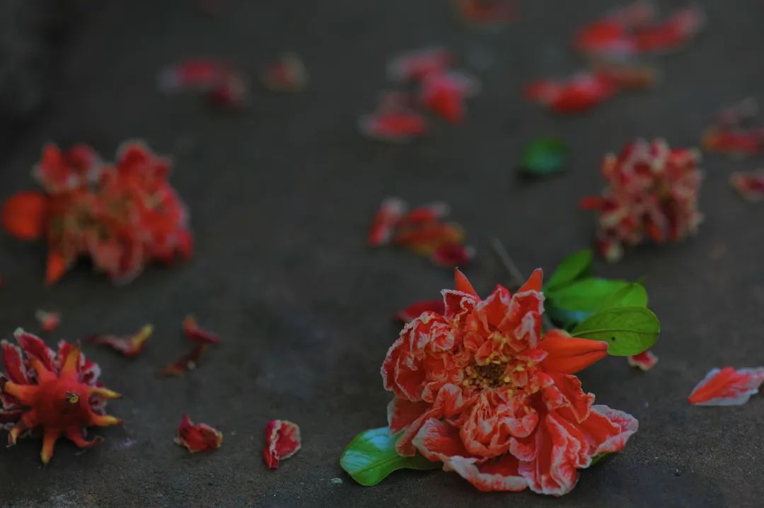 昆明市金殿名胜区