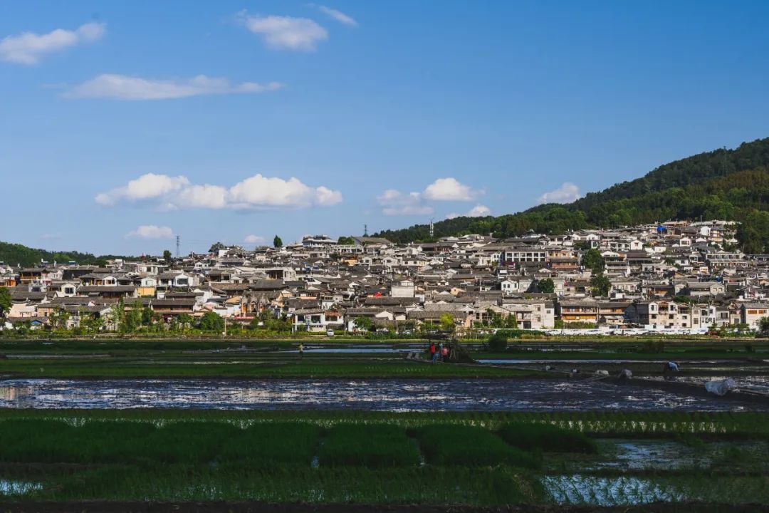 清风腾冲