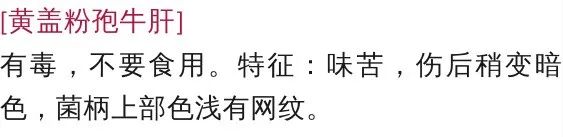宜良之窗