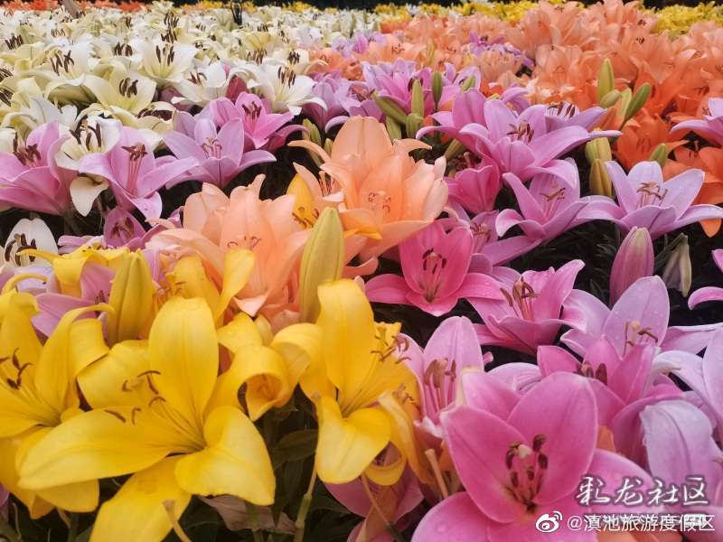滇池旅游度假区