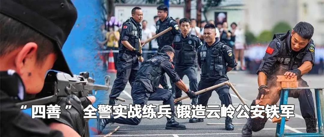 云南政法