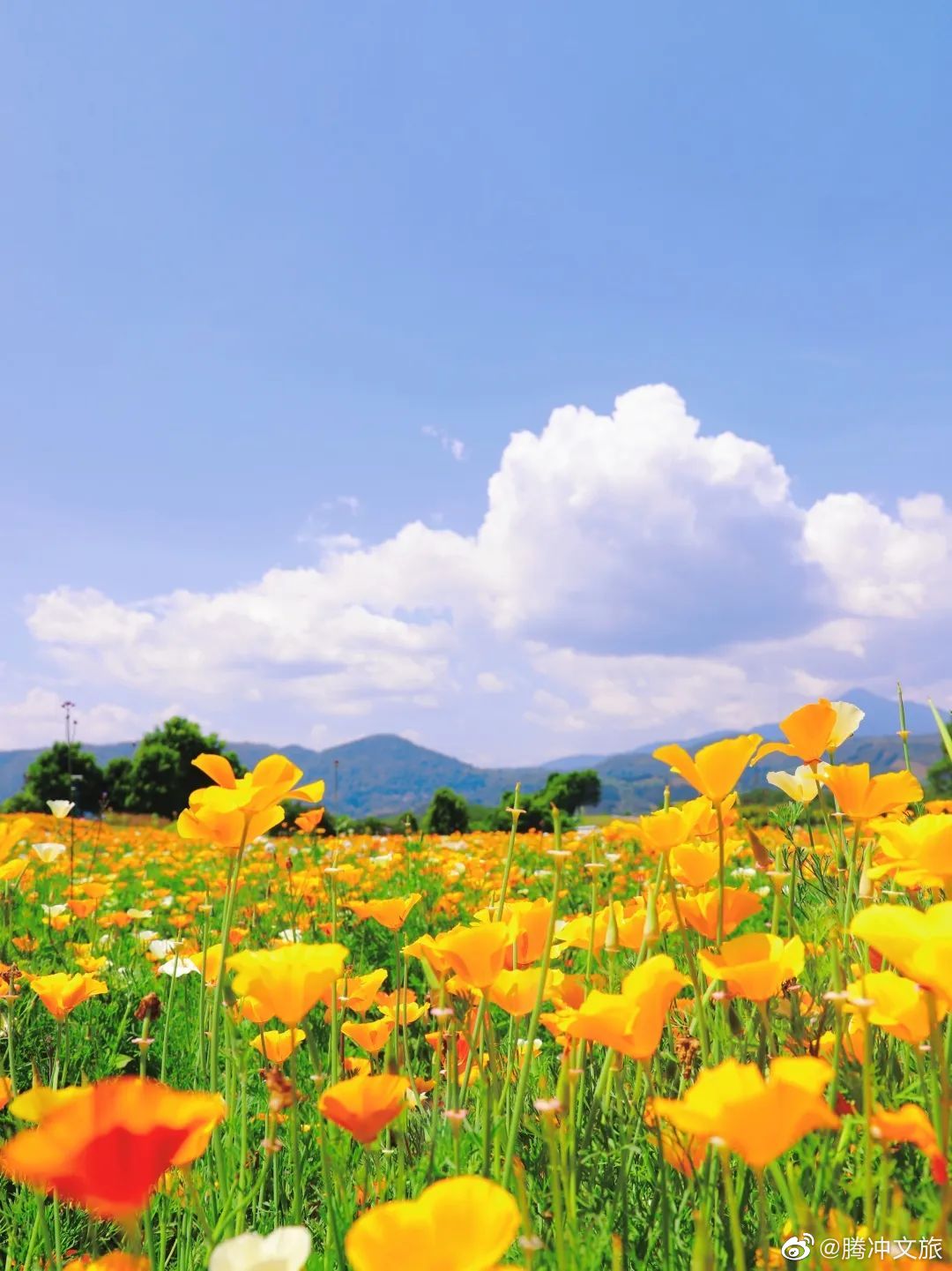腾冲文旅