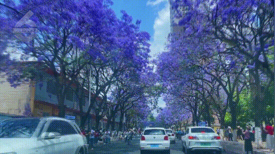 昆明文旅