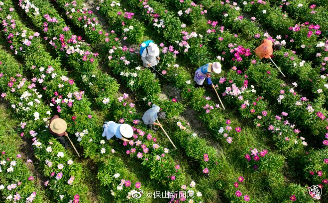 中国旅游日 腾冲市北海镇：“赏花经济”走俏为乡村振兴增色添香