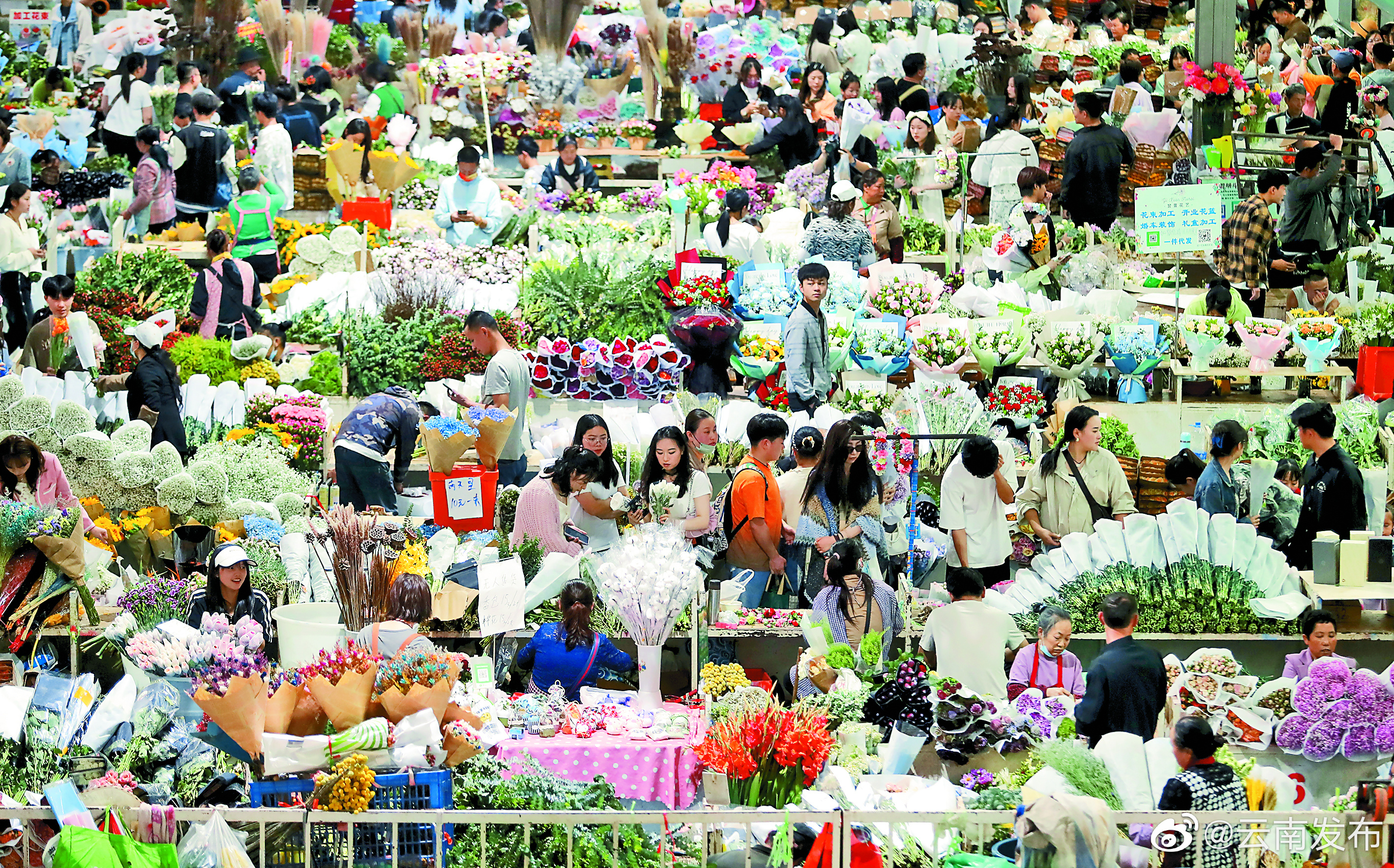 昆明国际花拍中心日交易量500万枝