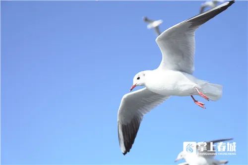 昆明文旅