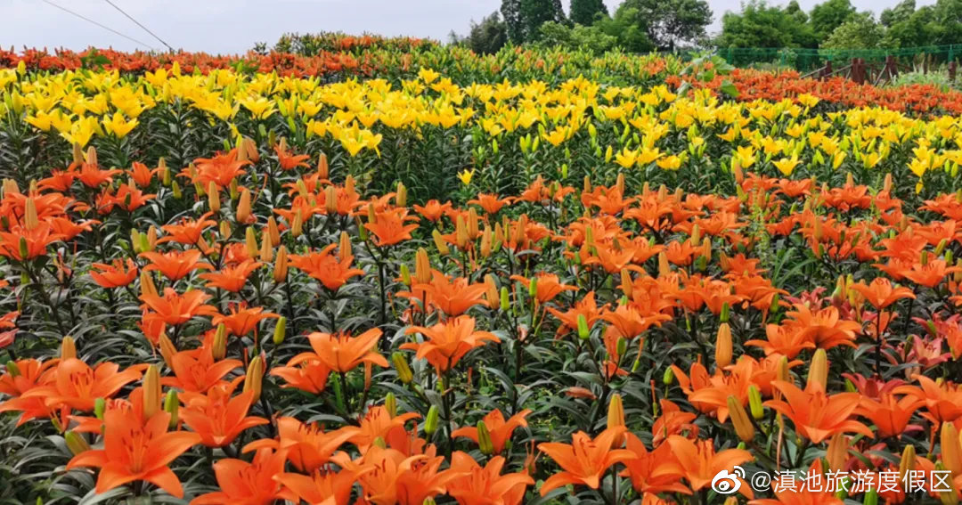 滇池旅游度假区