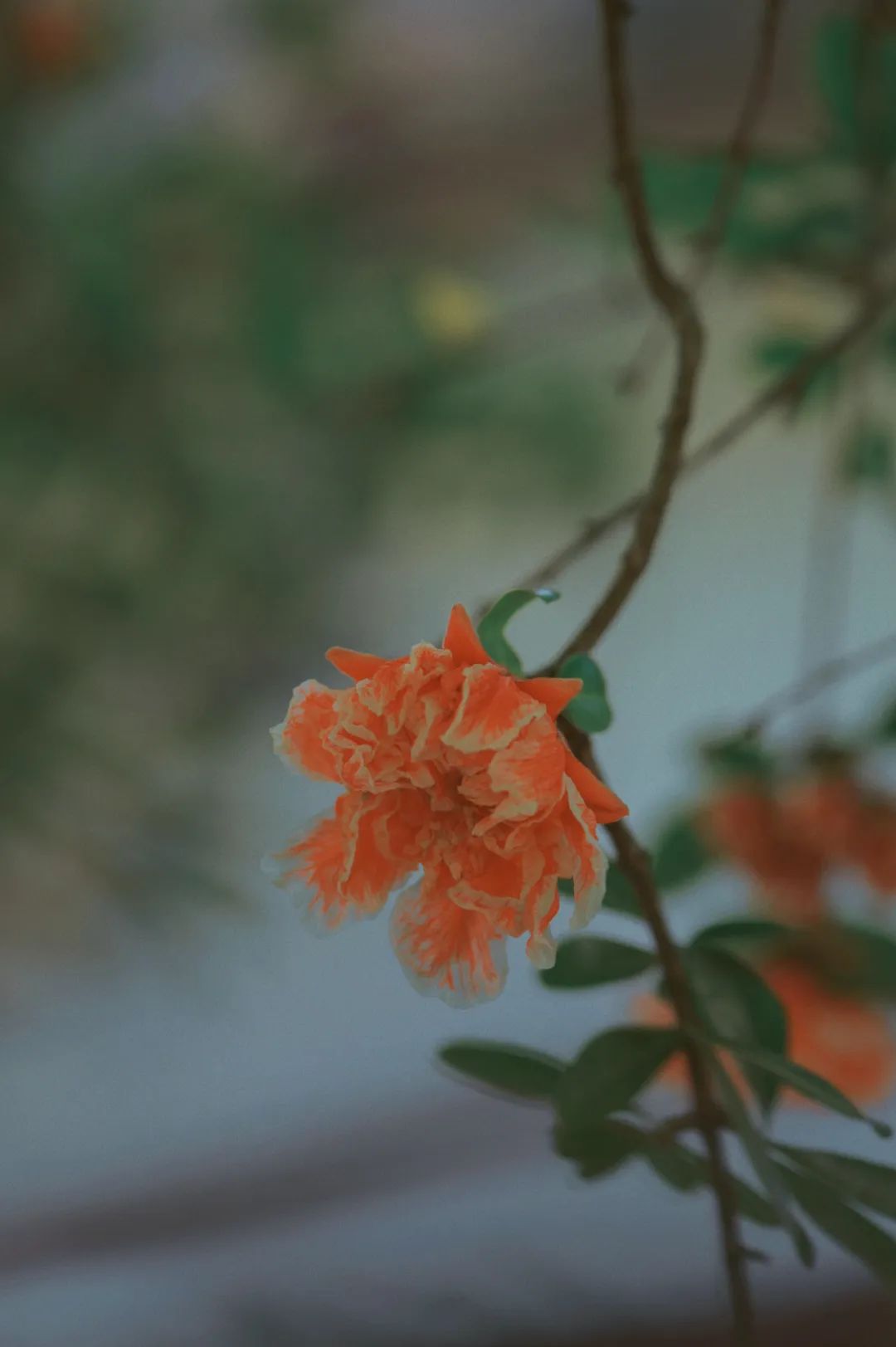 昆明市金殿名胜区