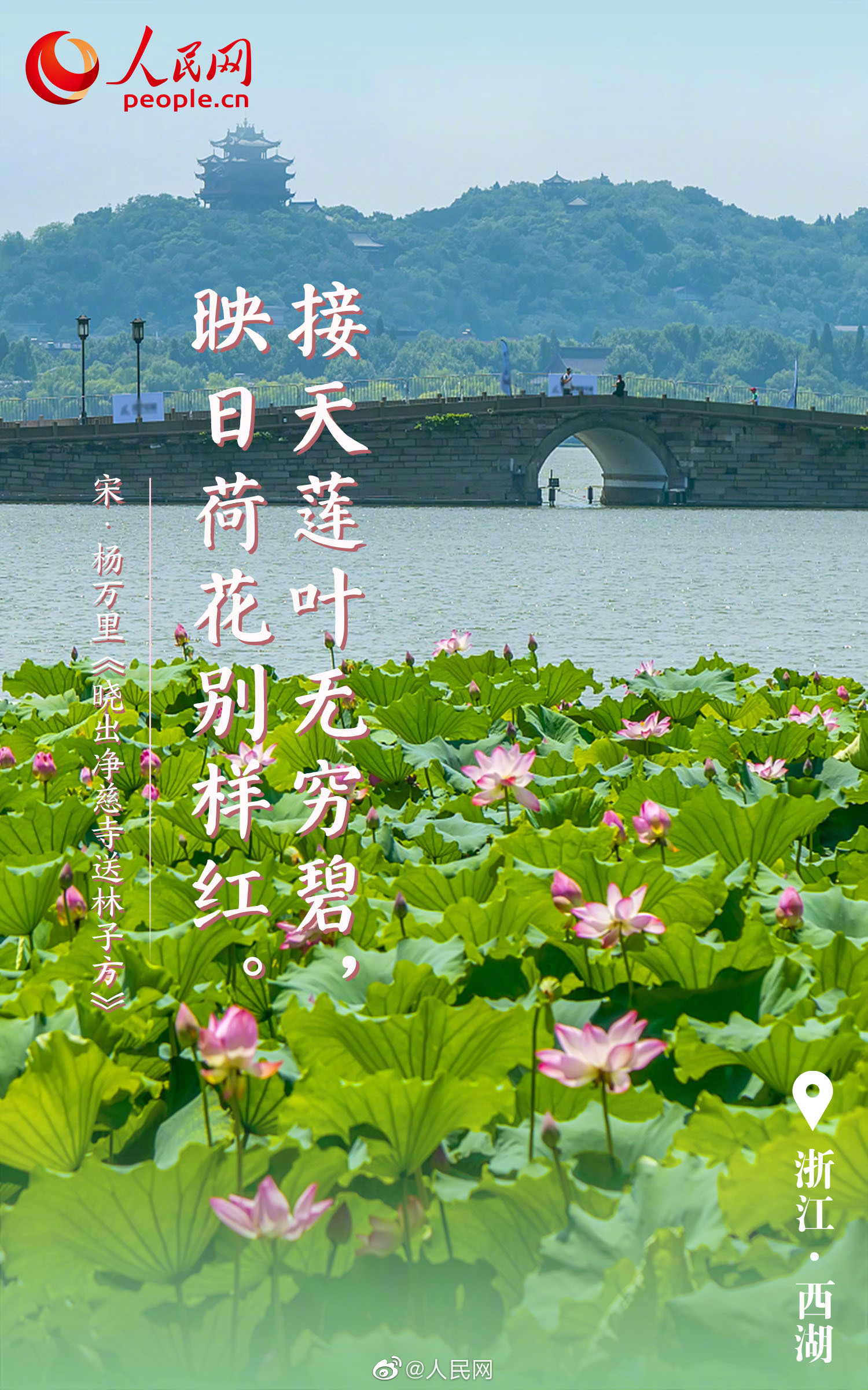 人民网