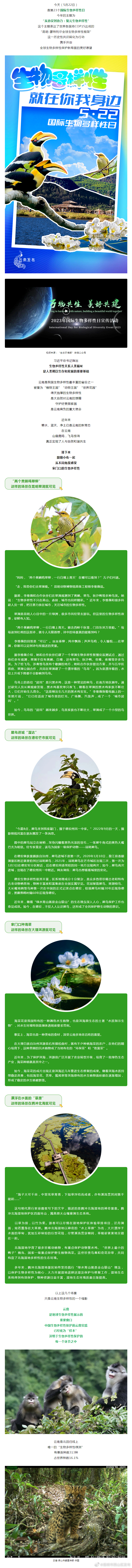 昆明市西山区发布
