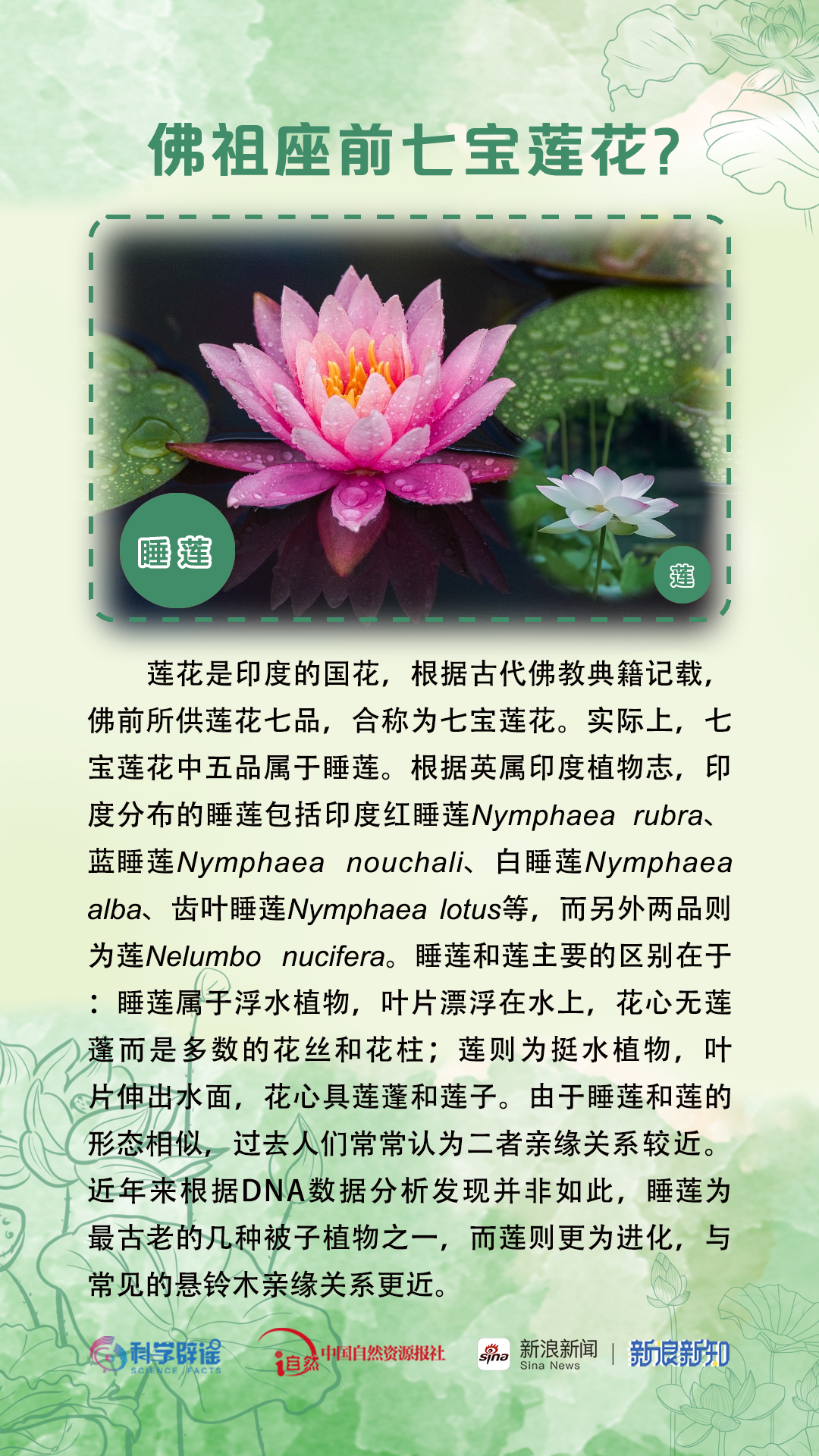 美丽云南微科普