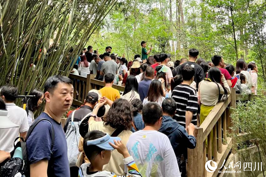 人民网