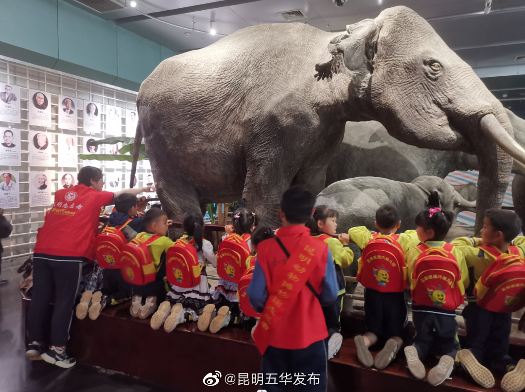 昆明五华发布