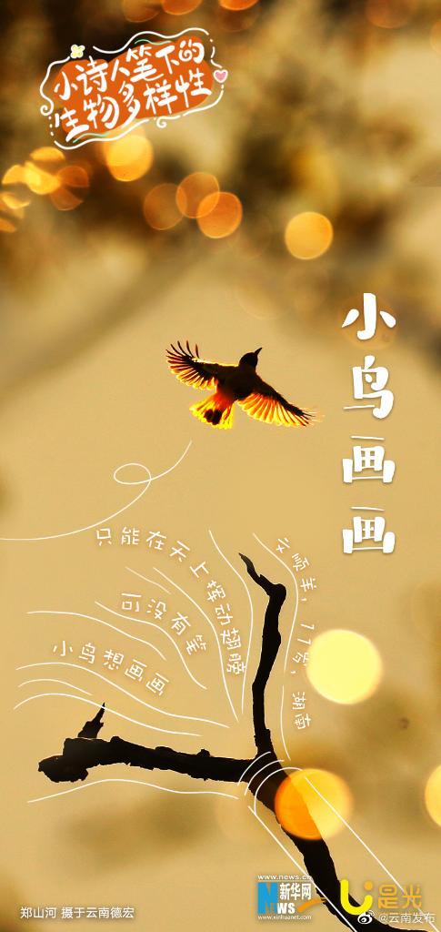 云南发布
