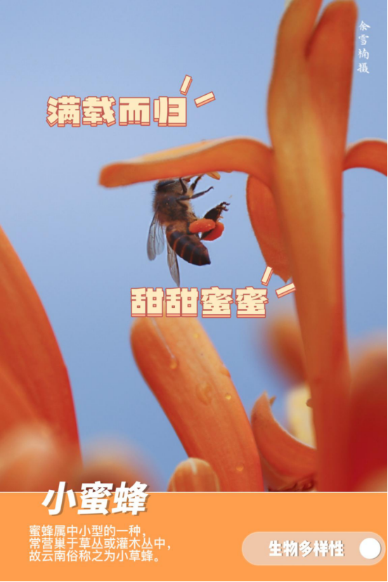 德宏团结报
