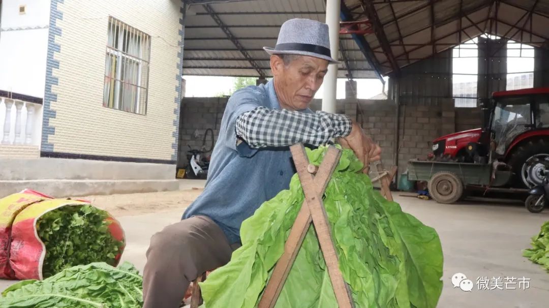 德宏团结报