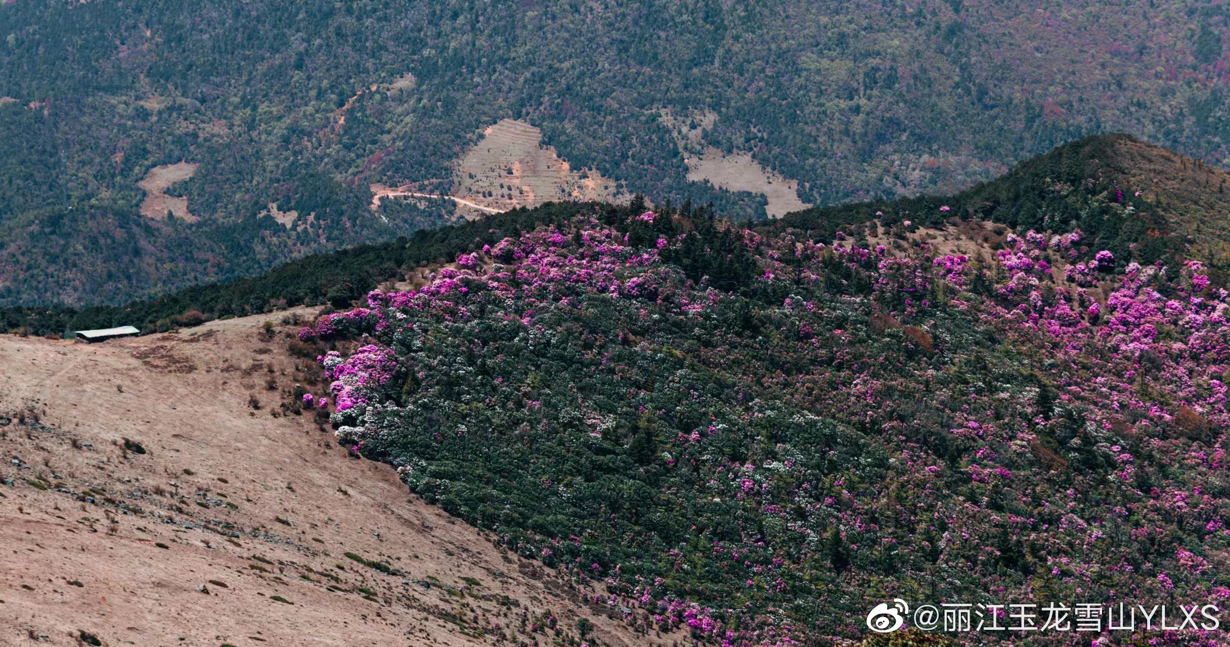 丽江玉龙雪山YLXS