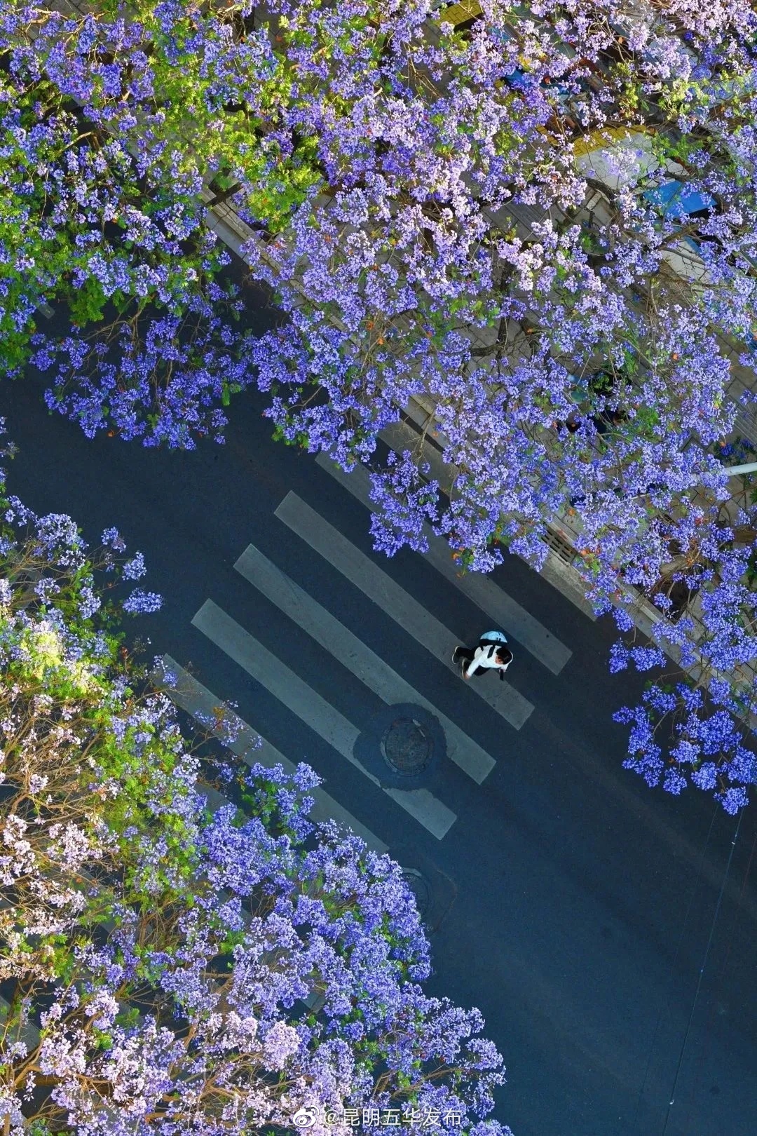 夜醒看时间积攒睡眠焦虑 