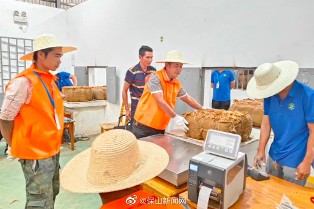 保山新闻网